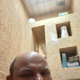 , 41, 