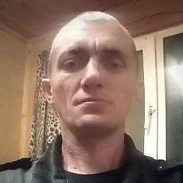 �������, ������, 41 ���