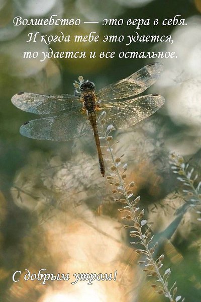 �� ����� ������! - 3 ������� 2025 � 10:21