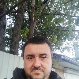 , 40, 