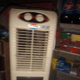 Raj, �������, 26 ���
