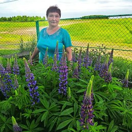 ���� ��������, ��������, 64 ���� - ��������� 31 ������ 2026