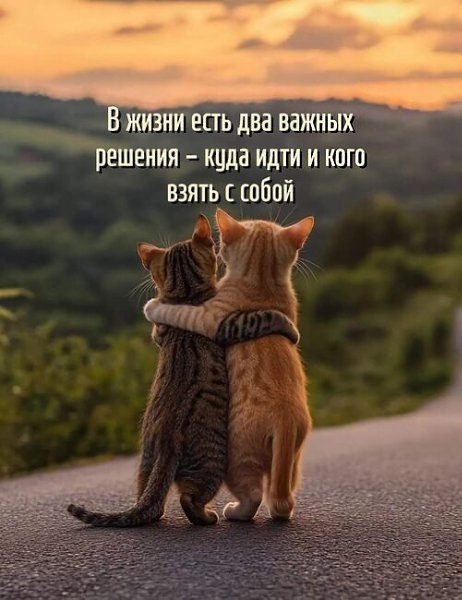 ��� ���� - 27 ������ 2026 � 17:26