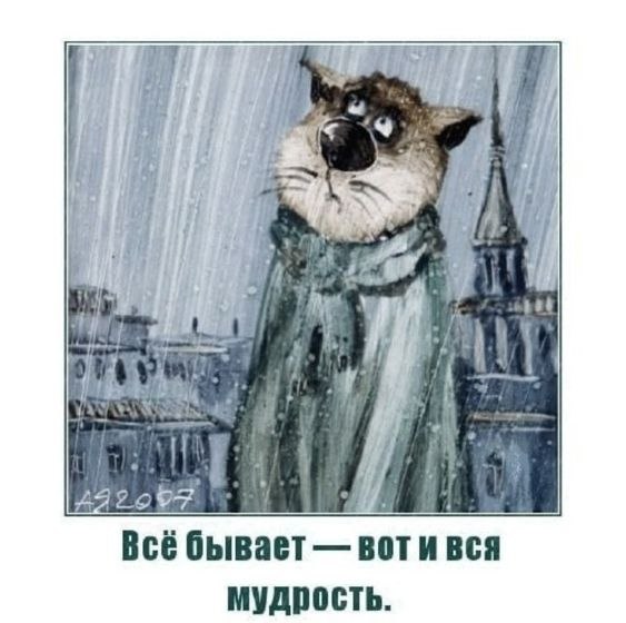 ������������� ���� - 22 ������� 2024 � 19:44