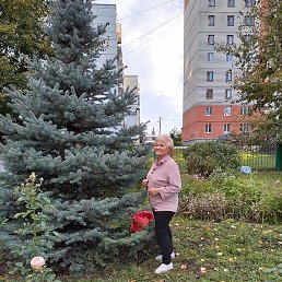Marija, ������