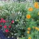 ���� �����, ����, 67 ��� - ��������� 24 ������� 2025 � ������ �������