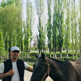 ���� �������, ������, 34 ���� - ��������� 24 ������ 2023