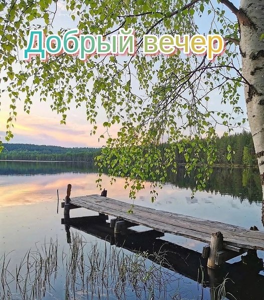   ,    . - 12  2024  17:36