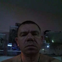 , 44, 