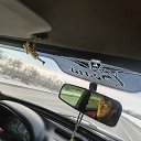 ���� �, ����������, 37 ��� - ��������� 14 ������� 2025 � ������ ���� ����������