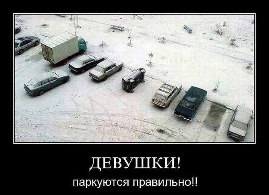 �� ����� - ������������� ������ �1 - 1 ���� 2025 � 08:51