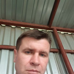 , 42, 
