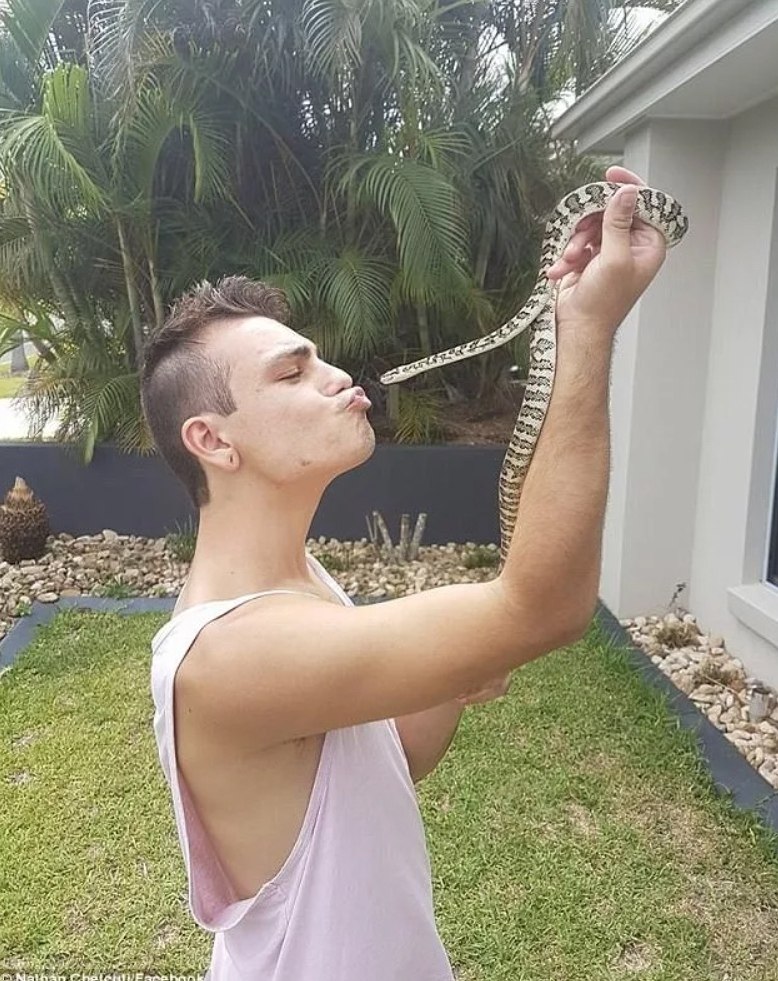 Пьяный мужик был укушен гадюкой, но яд не оказал на него токсического действия. При этом сама змея ...