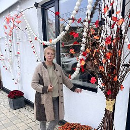 ��������, �������, 65 ���