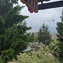 ���� �������������, ��������� - ��������� 24 ��� 2026 � ������ ���� ����������