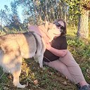 ���� ����, ������, 38 ��� - ��������� 24 ������� 2025 � ������ ���� ����������