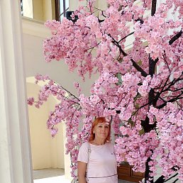 ����, �������, 56 ���