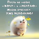 ���� ������, ����, 44 ���� - ��������� 12 ����� 2024 � ������ ���� ����������