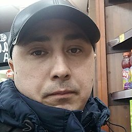 ����, ������, 40 ���