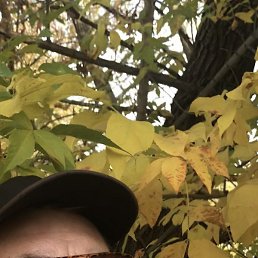 ����, ������ ��������, 57 ���