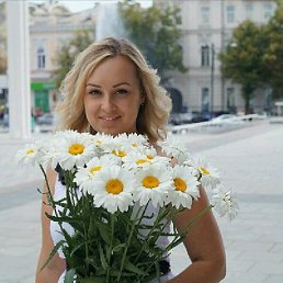 ���� ����, �����������, 43 ���� - ��������� 14 ���� 2024