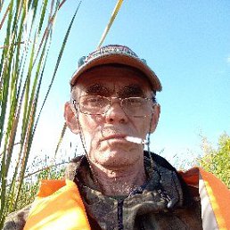 , 62 , 
