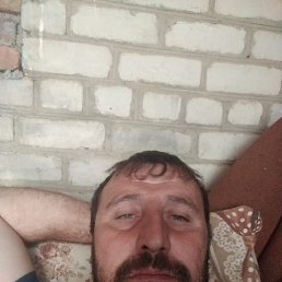 , 43, 