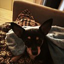 ���� ����, ������, 19 ��� - ��������� 8 ������� 2025