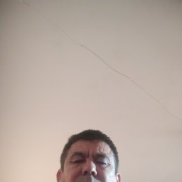 ���� ��������, ��������, 48 ��� - ��������� 4 ������� 2024