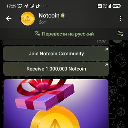���� �������, ������ - ��������� 13 ������� 2024