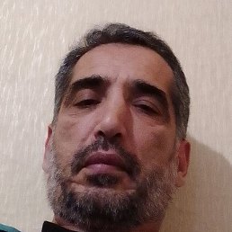 ������, ������, 41 ���