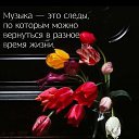 ���� �������, ����������� - ��������� 31 ��� 2026 � ������ ���� ����������