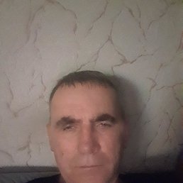 , 44, 