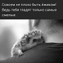 ���� ����, �������, 49 ��� - ��������� 25 ����� 2025 � ������ ������ ��������