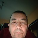 ���� ����, ������, 40 ��� - ��������� 15 ������ 2026 � ������ ���� ����������