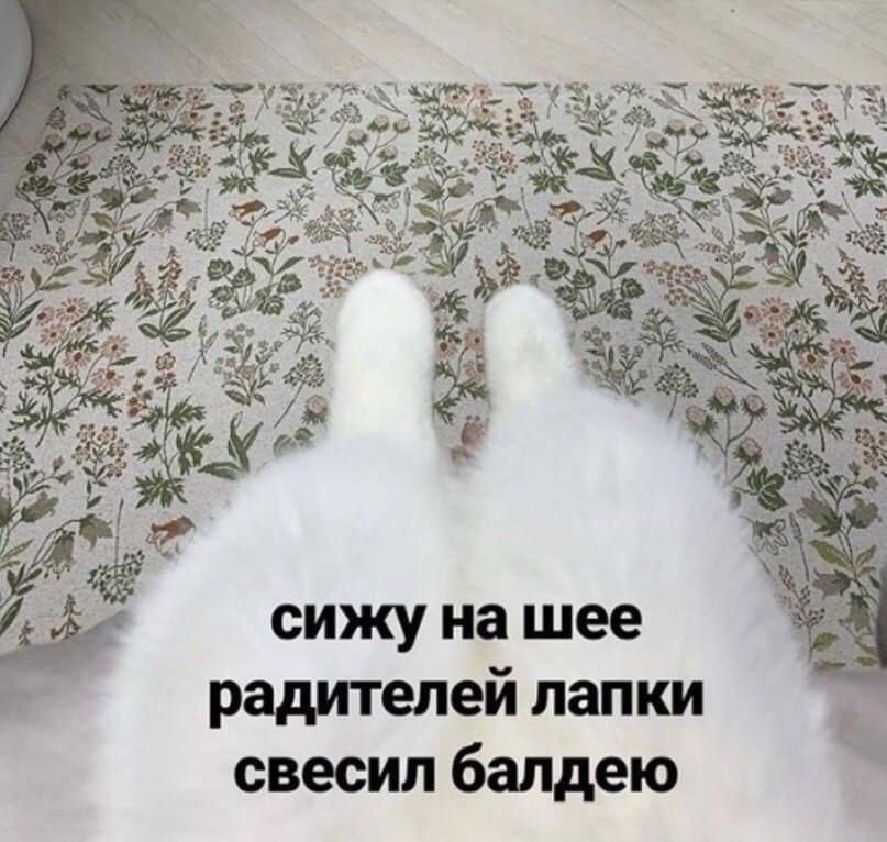    - 23  2024  20:27
