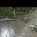 ���� ����, ����, 48 ��� - ��������� 31 ��� 2025 � ������ ���� ����������