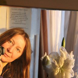 ��������, ��������, 56 ���