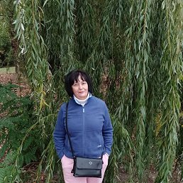 , 54, 