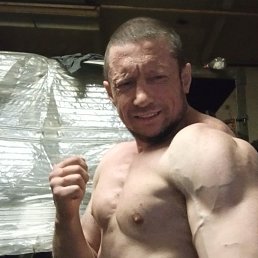 ������, 44 ����, �������