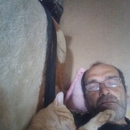 , 48, 