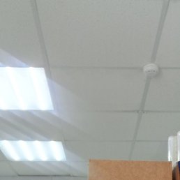 �������, ������, 55 ���