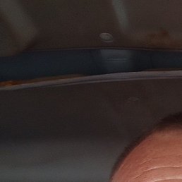 �����, ���������, 56 ���