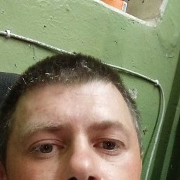 ���� ����, �������, 38 ��� - ��������� 12 ���� 2024