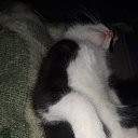 ���� �����, ����, 71 ��� - ��������� 15 ������ 2025 � ������ ������ ��������