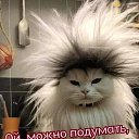 ���� Alex, ������� - ��������� 2 ������ 2025 � ������ ���� ����������