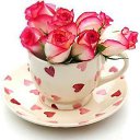 ���� Wowchik, ��������� - ��������� 11 ������� 2025 � ������ ���� ����������