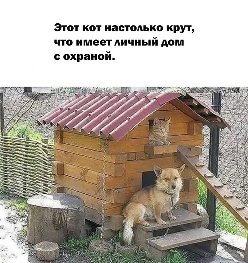☆ ☆ - 9  2025  16:18