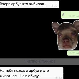 ���, �����-���������, 35 ���