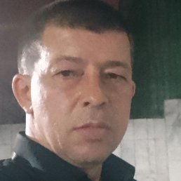 ��������� ����������, �����������, 46 ���